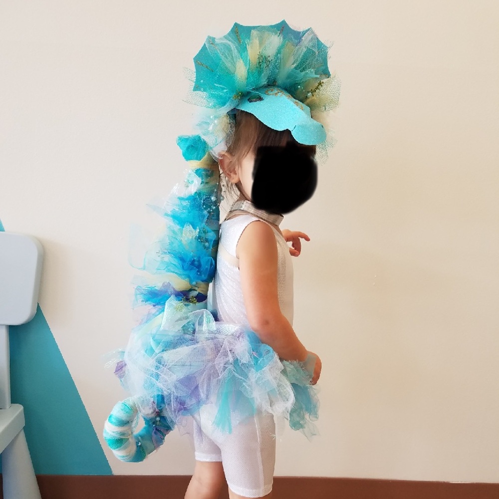 Custom Seahorse Costume